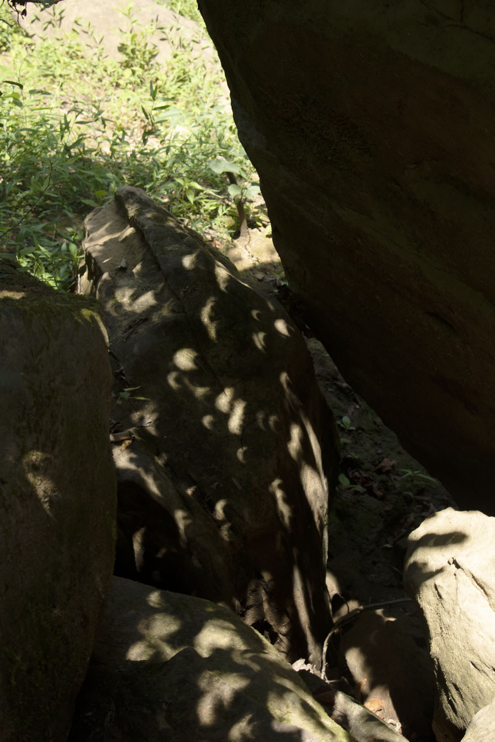 The small cave with pinhole cresents on a sunbeam.