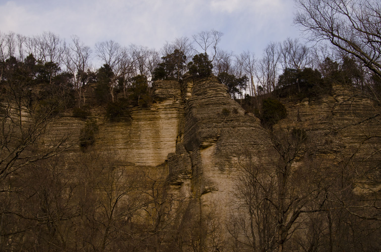 The cliff face at Pine Hills State Park.
